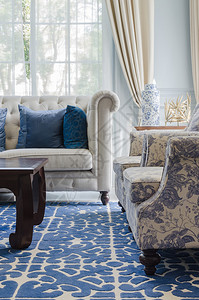 豪华客厅配有蓝色图案地毯上的沙发图片
