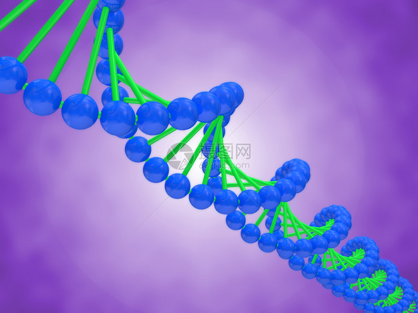 DNA的数字插图图片