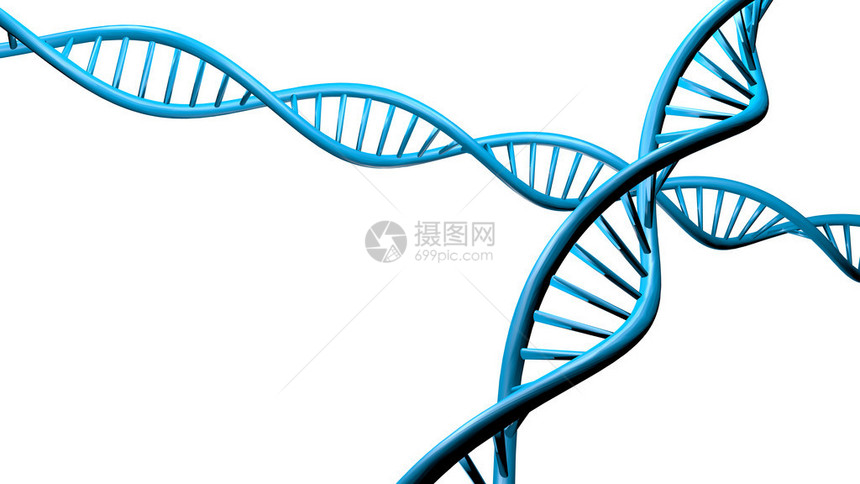 3DDNA链条具有充满活力的图片