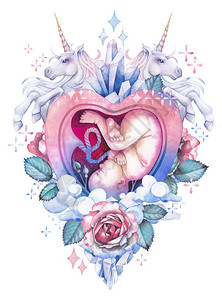 心脏内的水彩胚胎形成子宫图片