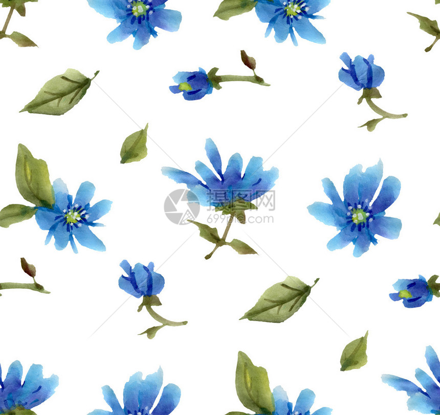 白底浅蓝色的鲜花没有缝合的图图片