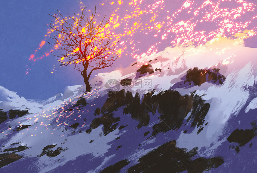 充满幻想的景色在冬季展示光树和鲜白的雪图片