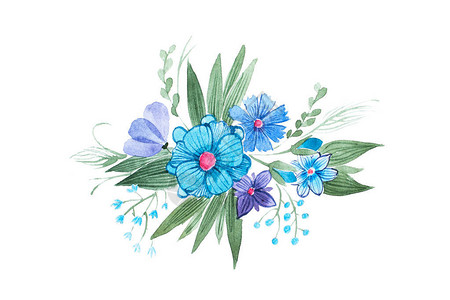 青蝇由蓝野花和手画叶组成的花朵构成的水彩图示插画