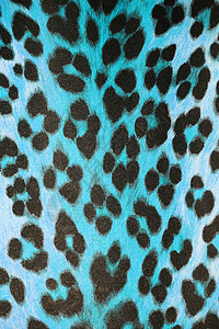 蓝色野生动物皮纹背景图片