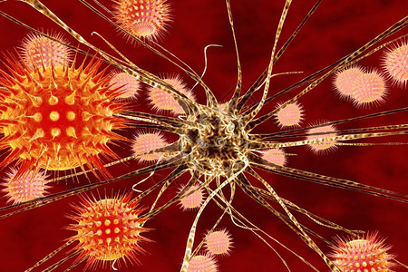 虫媒病毒脑炎神经感染脑部感染神经元和感染的脑细胞科学背景医学背景插画