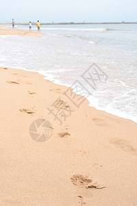 沙滩上的脚步图片