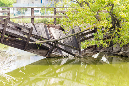 木林桥倒塌图片