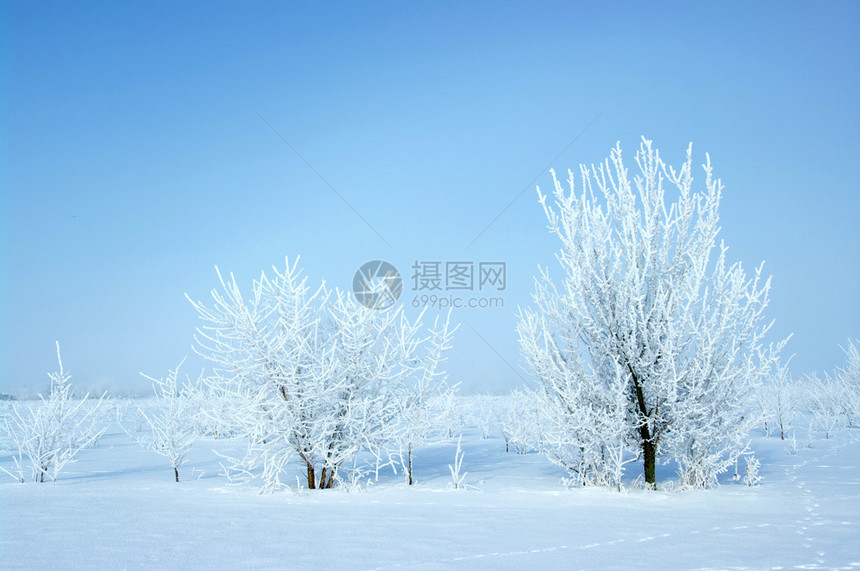 雪山蓝天图片