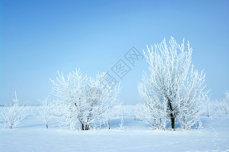 雪山蓝天图片
