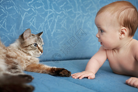 婴儿和猫躺在沙发上互相凝视图片