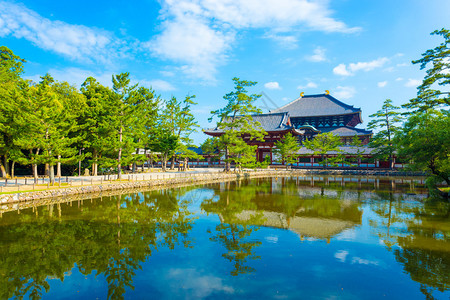 在日本奈良的东大寺美丽阳光明媚的蓝天早晨图片