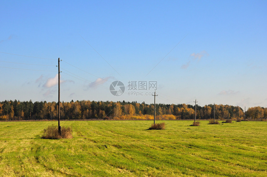 与电线杆的秋天草甸视图图片