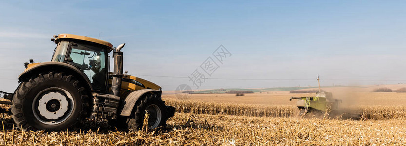 金色田野上拖拉机在蓝天映衬下的全景拍摄图片