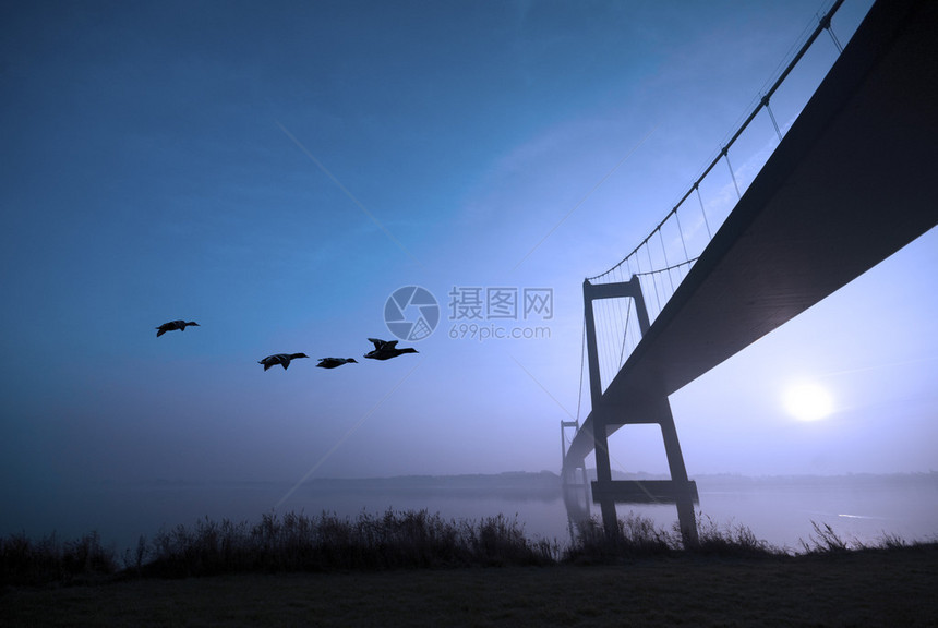 飞鸭和小贝带大桥一个蓝图片