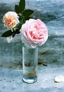 美丽的粉红玫瑰花在旧玻图片