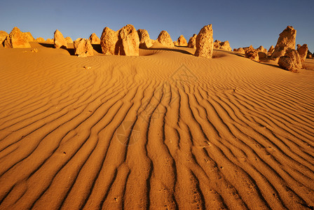 西澳大利亚的Pinnacles沙背景图片