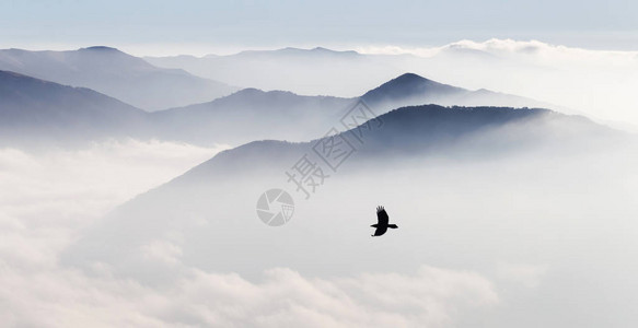 喷雾中山影背景的飞鸟全景镜图片