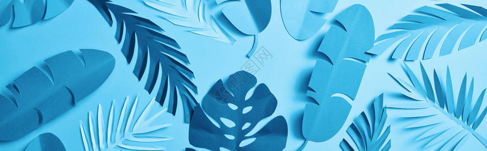蓝色浅薄纸切棕榈叶背景图片