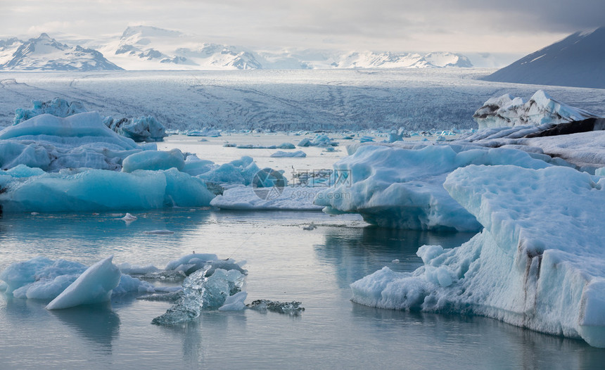 冰岛Jokulsarlon冰川环礁湖上漂浮的图片