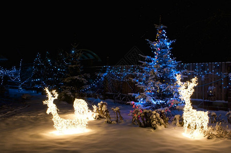 带复制空间的照明圣诞树背景图片