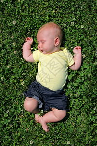 甜美的新生女婴在草丛里睡着时伸出身子躺在花朵田图片