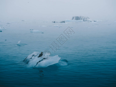 冰岛川环礁Jokulsarlon融化的图片