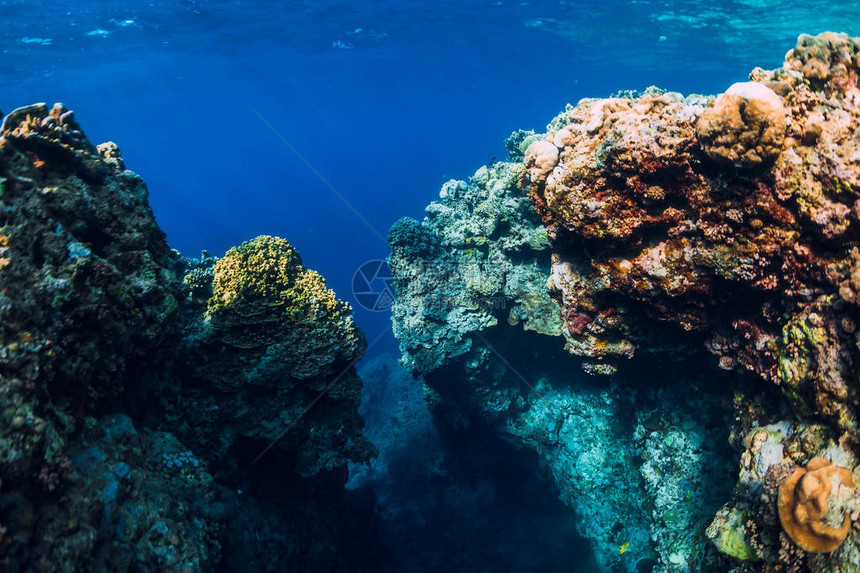 洋中含珊瑚的水下岩石图片