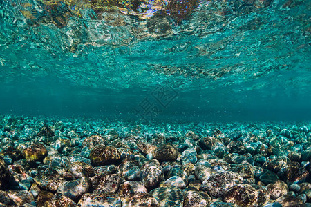 美丽的海底世界底部有石头图片