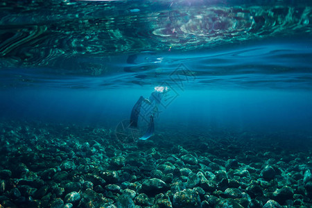 在海洋中自由潜水者游泳有阳图片