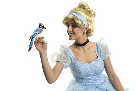 灰姑娘抱着一只孤立在白色背景上的鸟背景图片