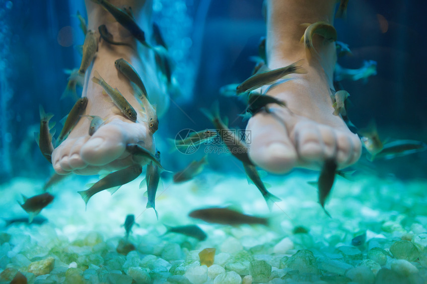 鱼rufagarraspa修脚健康护肤治疗图片