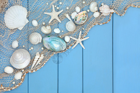 贝壳抽象拼贴与渔网在木蓝色背景图片