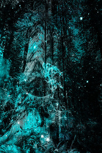 夜里长着巨大的老树带着光线操纵创造的背景图片