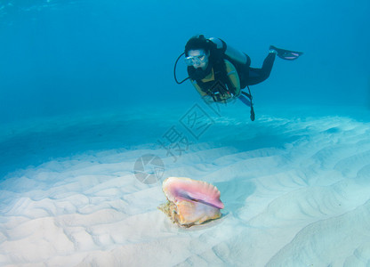 女潜水员看着沙海床图片
