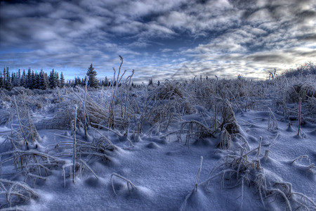 冬天的阿拉斯加风景日出时图片