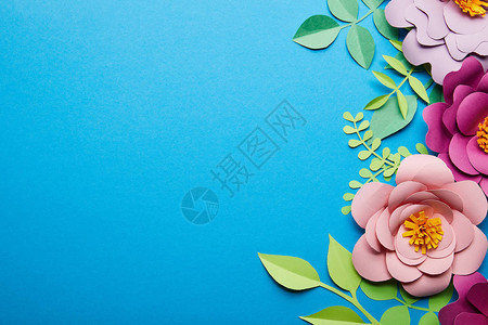 彩色剪切纸花的顶部视图背景图片