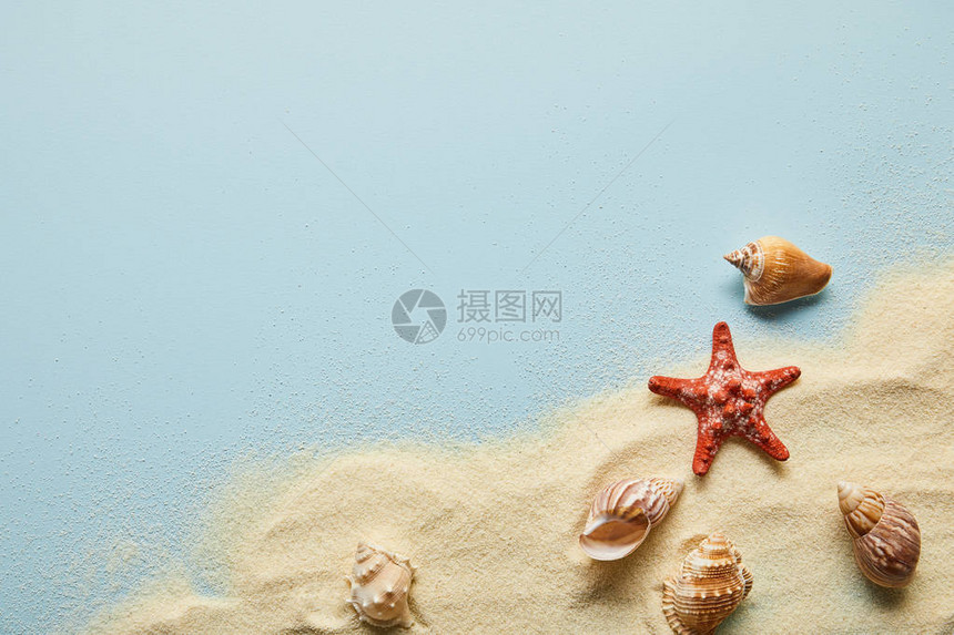 蓝色背景上带贝壳和海星及复制空间的纹质卷状金沙以图片