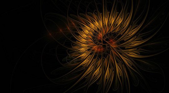 美丽的分形花计算机生成的图形艺术项目的抽象图片