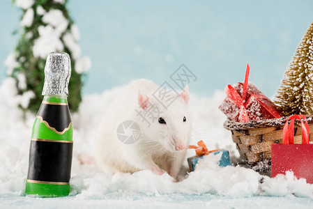 新年时大鼠奶瓶和水龙头与圣背景图片