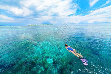 女人在珊瑚礁热带加勒比海浮潜图片
