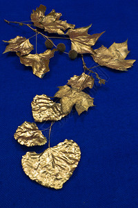 明亮的金色叶子在蓝色的编织背景下形成图案背景图片