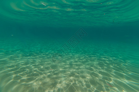 深海或水下海洋图片