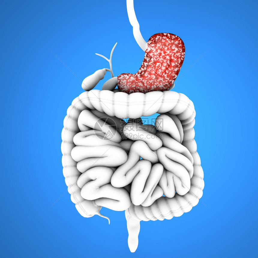 消化道胃和溃疡蓝色背景下的消化系统图片