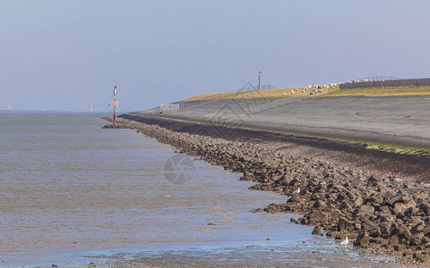 荷兰沿海的堤防以止海平面上升图片