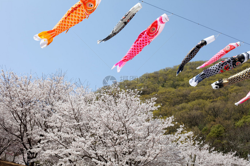 日本鲤鱼风筝装饰图片
