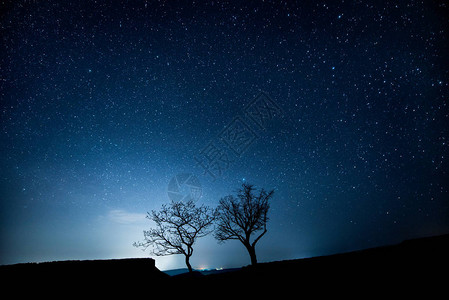 星空下山中的两棵树背景图片