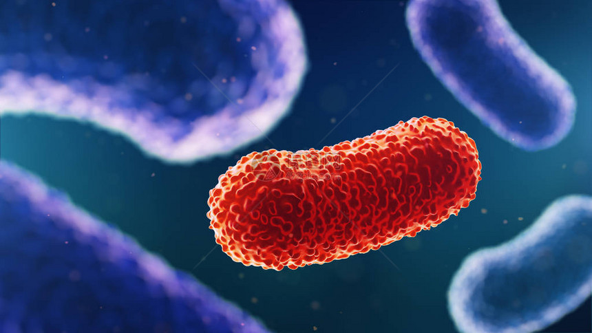 细菌的3d插图医学背景图片