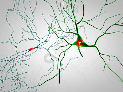 大脑突触神经元图片