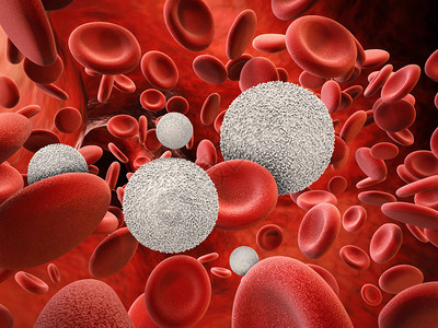 3d用红细胞渲染白细胞背景图片