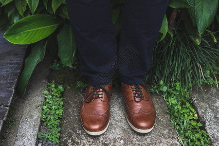 棕色皮鞋花园里的俯视图图片